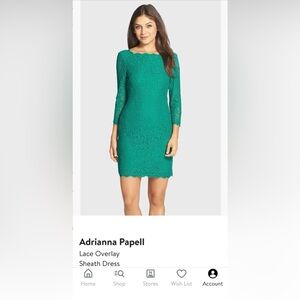 Adrianna Papell Lace Overlay Sheath Dress